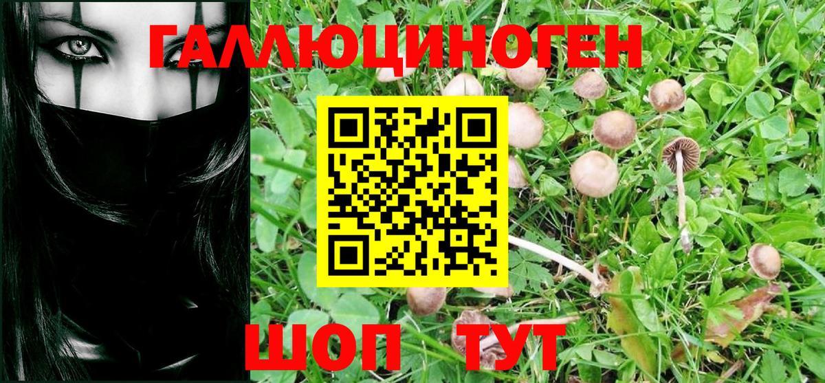 Алапаевск  Псилоцибиновые грибы GOLDEN TEACHER  Вход с VPN  Псилоцибиновые грибы мицелий 