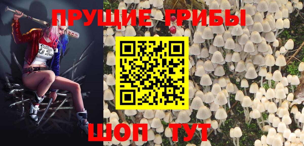 Псилоцибиновые грибы мухоморы Алапаевск